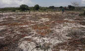 Imagem 2: Terreno 2.000m2 no Angelim