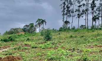 Imagem 3: Fazenda/Sítio/Chácara para venda possui 4500 metros quadrados com 1 quarto