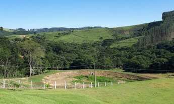 Imagem 5: FAZENDA EM SAPOPEMA