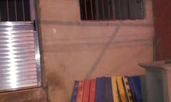 Imagem 7: Aluguel de casa ?