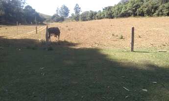 Imagem 3: Sítio com 2 dormitórios à venda, 20000 m² por R$ 250.000 - Zona Rural - Ouro Fino/MG