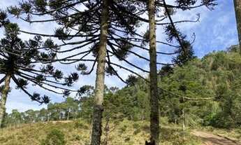 Imagem 5: Belíssimas Chácaras com 2,00 ha Bom Retiro