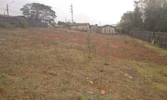 Imagem 2: Vendo Chácara com 5.000 metros Novo Bandeirantes