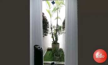 Imagem 5: São Paulo - Casa Padrão - Vila Carrão