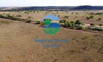 Imagem: Fazenda dupla aptidão Norte Tocantins