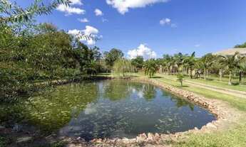 Imagem 5: Sítio em Belém Novo