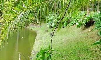 Imagem 3: 24 Alqueires paulistas para pousada 3 milhoes