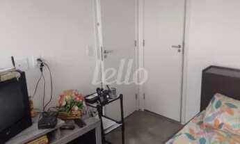 Imagem: São Paulo - Apartamento Padrão - Cambuci