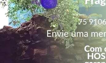 Imagem: Quartos para alugar em Feira de Santana