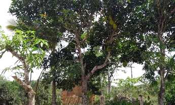 Imagem 3: Vende-se ou troca terreno em colônia estancinha, em estância