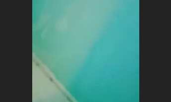 Imagem 7: Aluguel de casa Casa com 2 dormitórios