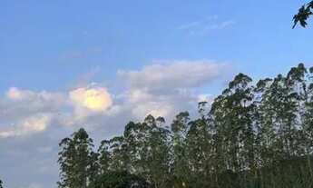 Imagem 3: Sítio na Fazenda de Dentro - Biguaçu