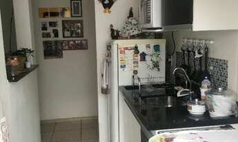 Imagem 5: Apartamento - Jardim Nova Europa - Campinas