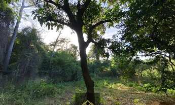 Imagem 2: LINDO TERRENO EM SÃO JOSE DA LAPA 1770 MT'S