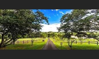 Imagem 4: Imóvel rural R$ 200.000,00 a R$ 1.000.000,00