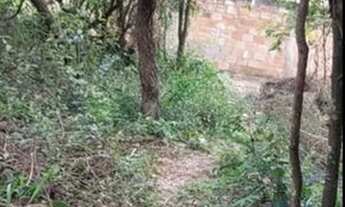 Imagem 3: Lote Estância Imperial