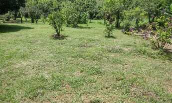 Imagem 5: Terreno Desvio Gomes