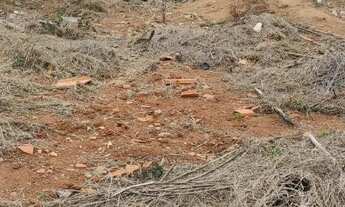 Imagem 2: Lote/Terreno para venda possui 375 metros quadrados