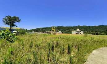 Imagem 3: EXCELENTE TERRENO A VENDA EM CANASVIEIRAS SC401 - FLORIANOPOLIS