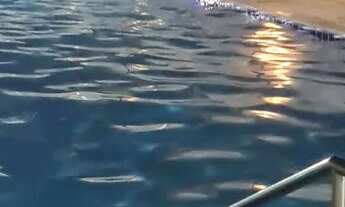 Imagem 6: Aluga-se Apartamento com 2 dormitórios