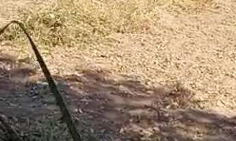 Imagem 3: Vende-se terreno em nobres. Ótimo preço