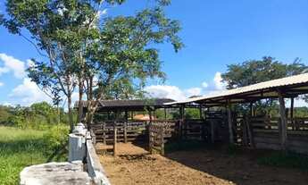 Imagem 2: Área para plantio de soja;grãos.Criação de gado bovino. 900 hectares.Agricultura e PECUÁRI