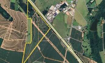 Imagem: CEDRAL (SP) Sítio 14,5 alqueires na Rodovia