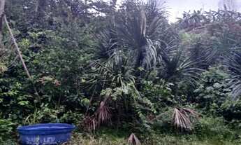 Imagem 7: Sítio 200 de largura por 1000 de fundo