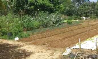 Imagem 6: Vende-se mini chácara em Caldas novas