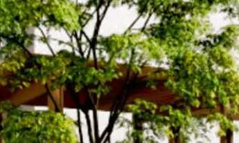 Imagem 3: Apartamento de 2 quartos no Centro de Paulista!