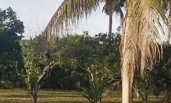 Imagem 4: OPORTUNIDADE!!! LOTES GRANDES, PREÇOS ESPECIAIS