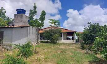 Imagem 2: Sítio linha verde Esplanada 21000m2