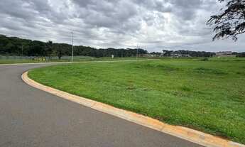 Imagem 3: PLATEAU DOR UNIQUE