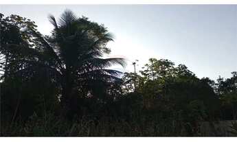 Imagem 3: GRANDE ÁREA NO INÍCIO DA AV. LINHA VERDE (PRÓXIMA À FACULDADE ESTÁCIO