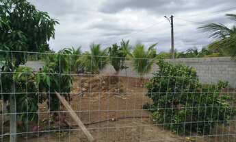 Imagem 7: Vende-se uma chácara ou espaço de evento próximo da entrada do tiquaraçu.zp