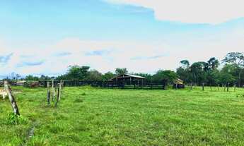 Imagem 6: ÁREA PARA PECUÁRIA-ALTO ALEGRE