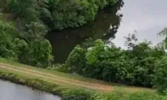 Imagem 4: Térrea para venda possui 250 metros quadrados com 6 quartos