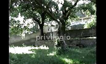 Imagem 7: Sítio à venda, 7 quartos, 1 suíte, Taquara - RIO DE JANEIRO/RJ