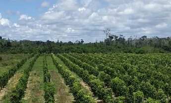 Imagem 7: Fazenda Pasto Casa com 1 dormitório