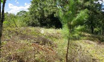 Imagem 4: Terreno de 430 m2 no Bairro Vivendas do Arvoredo