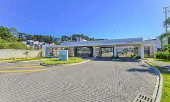 Imagem 2: Vendas Casa Curitiba PR