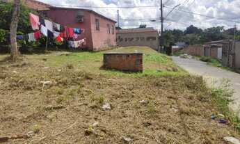 Imagem 3: Vendo terreno no Colônia Terra Nova