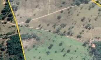 Imagem 2: Cromínia - São 8.6 alq. situada à 64 km de Goiânia -BR 153, sendo 50 km de asfalto e 14