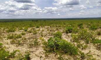 Imagem 3: Fazenda 883 h 100%plana 55 km do asfalto oportunidade