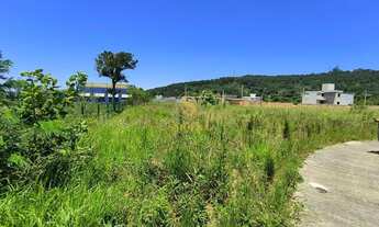 Imagem 6: EXCELENTE TERRENO A VENDA EM CANASVIEIRAS SC401 - FLORIANOPOLIS