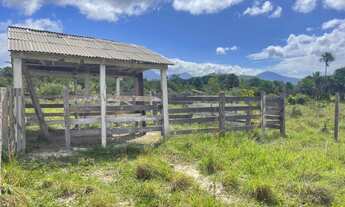 Imagem 2: Vende-se ou troca por casa em Boa Vista este sítio