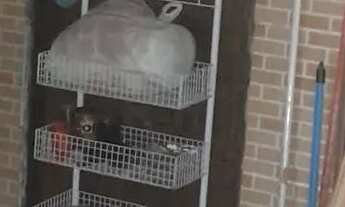 Imagem 6: VENDO EXCELENTE CASA PRÓXIMO DA PARALELA