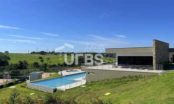 Imagem 6: VINHAS FLAMBOYANT