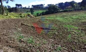 Imagem 4: Terreno Rural em Campo Magro 24.080 m , Plano e Limpo, Aceita Permuta