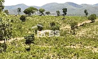 Imagem 4: Fazenda Campinaçu